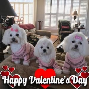 Meet your Posher, Richard